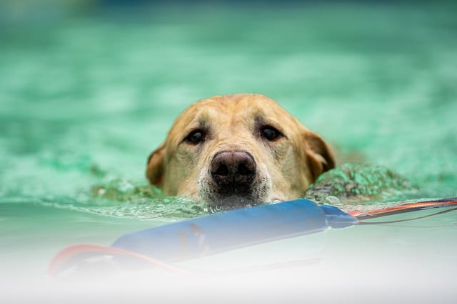 回收军服活动总结