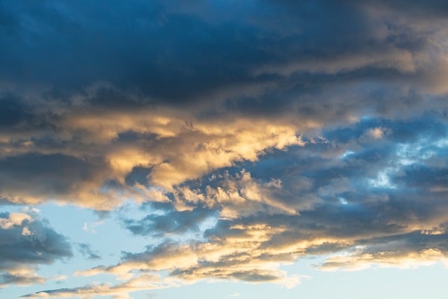 班主任工作计划合集10篇