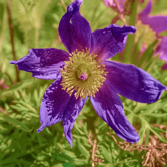 “货运公司工会创建学习型班组实施计划”工会工作计划