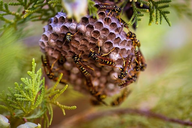 2013大专毕业论文致谢范文