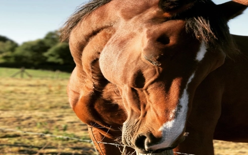 保持共产党员先进性的标准-春林公文网