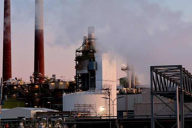 少先队活动环境教育总结