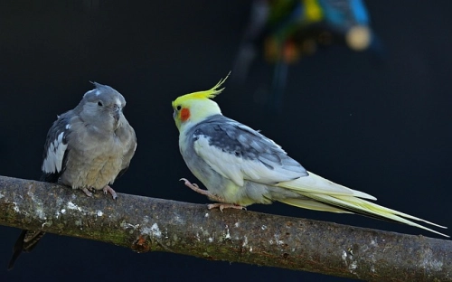 有关于企业的文化标语大全-春林公文网