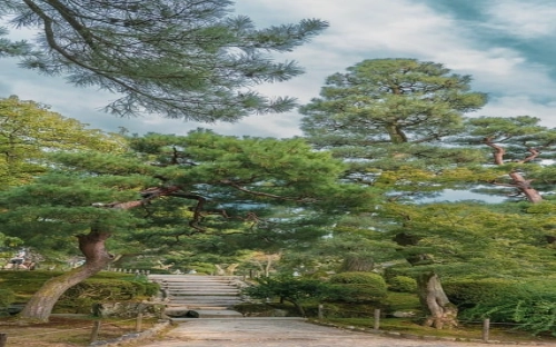 安全自查报告汇编六篇-春林公文网