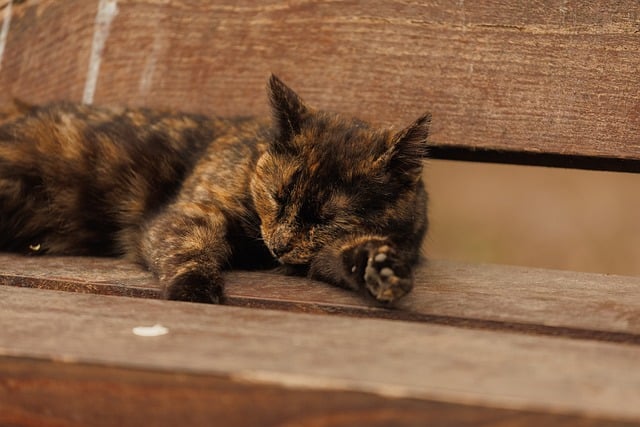 小额贷款宣传口号