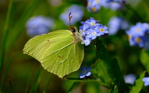 实习心得体会-春林公文网