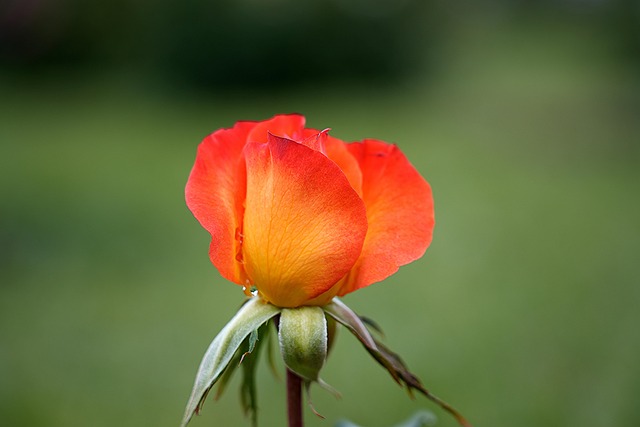 初中同学聚会祝酒词