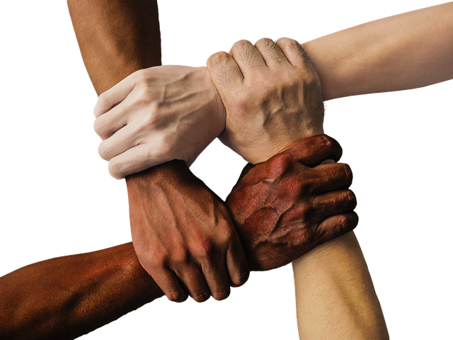 团队的凝聚力口号大全