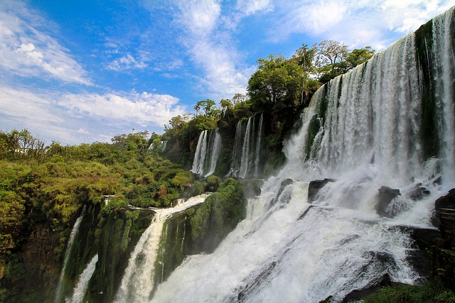 林业现状调研报告范文