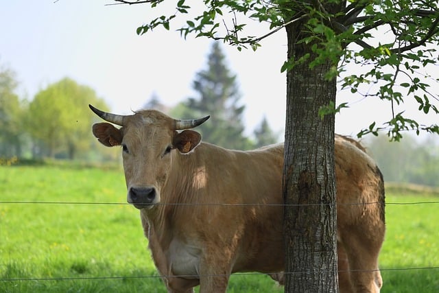 关于践行四种形态调研报告