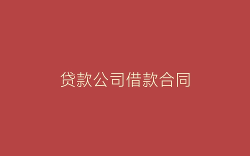贷款公司借款合同-春林公文网