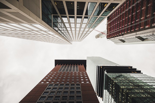 县政府主要领导某年述职报告