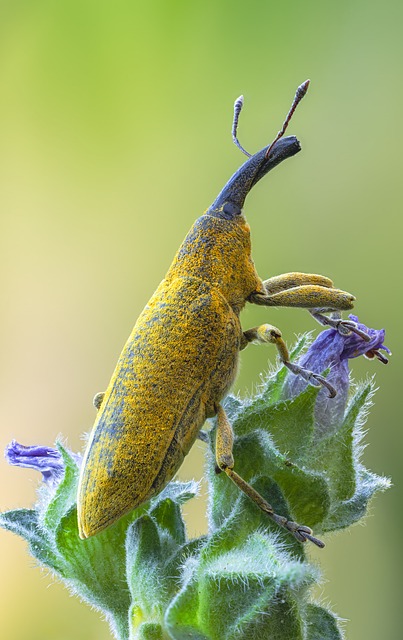 怎样结交比自己身份高的人