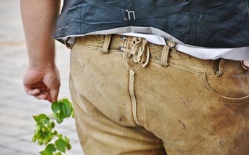 重阳节习俗探源-春林公文网