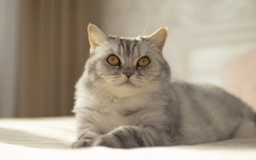 优质服务标语-春林公文网