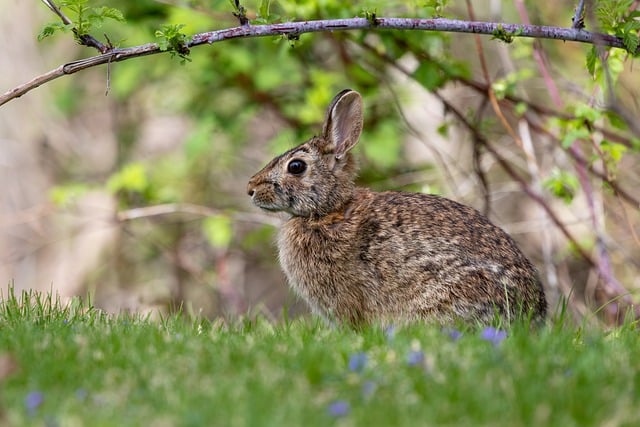 教师节手抄报文字内容范文精选2021最新