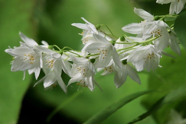 幼儿园消防安全自查报告范文4篇