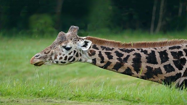 幼儿园春季开学标语