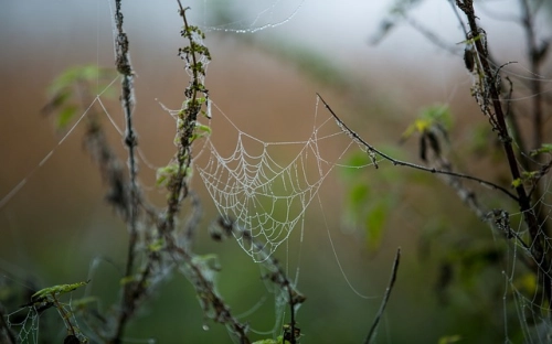 前台新年工作计划范文-春林公文网