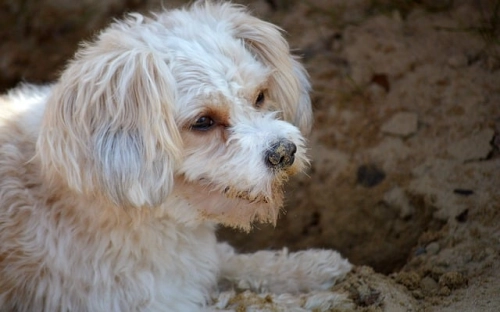 工作计划表格下载-春林公文网