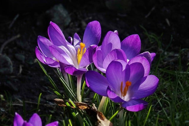 2016今冬明春消防安全宣传标语