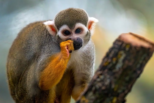 初三班主任新学期工作计划范文精选3篇2021