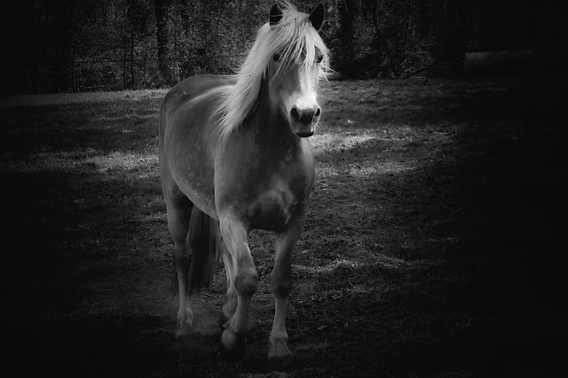 坚定理想信念方面存在问题和不足及整改措施2021