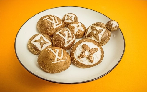 餐饮计划书范文-春林公文网