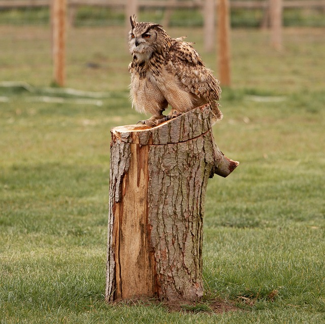 银行各岗位竞聘报告