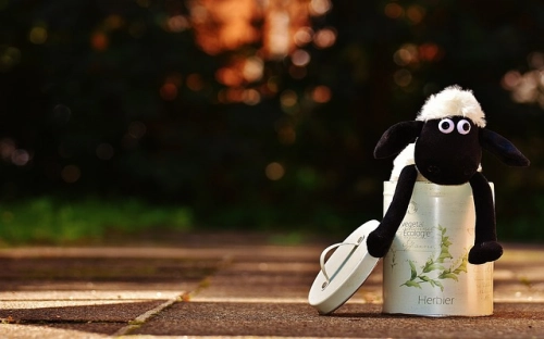 2021年重阳节祝福语句 重阳节暖心祝福-春林公文网