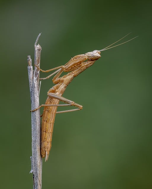 2016学校消防安全宣传标语