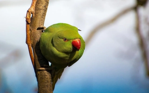 中国农业发展概况(一)-春林公文网