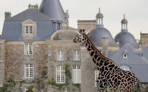 2011年国际护士节短信祝福语-春林公文网