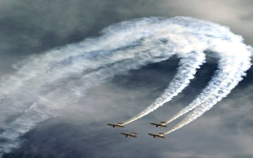 2014年少先队入队申请书-春林公文网