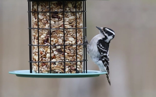 学校办公室工作总结十篇-春林公文网