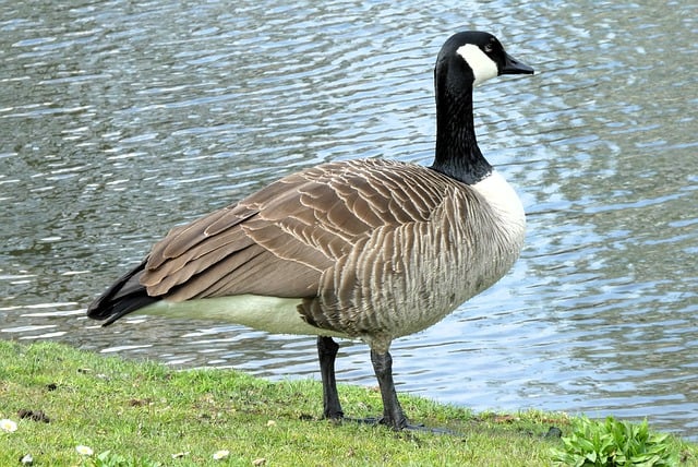 下关区法律援助温暖工程实施情况