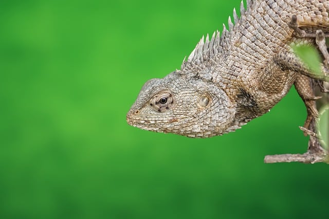 合肥六中2003——2004学年度第一学期工会工作计划