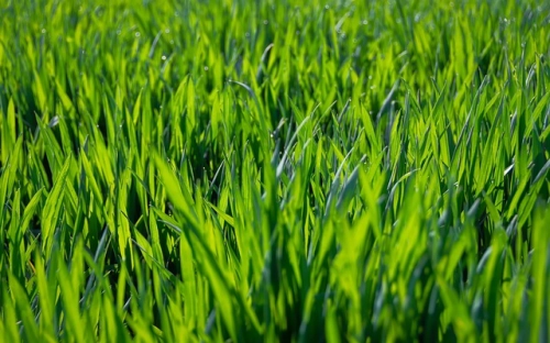 父亲节中英文祝福语-春林公文网