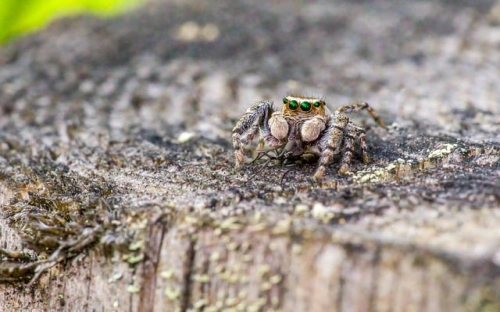 党史学习教育专题个人对照检查剖析材料模板范文2021-春林公文网