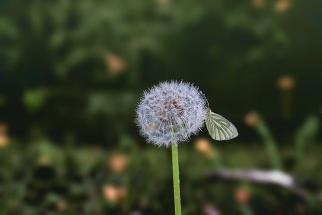 正月十五社区元宵节活动总结