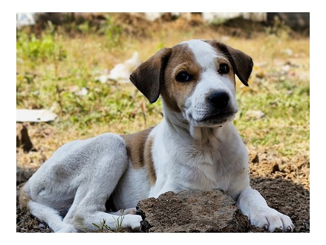 有关交通安全的温馨提示语警示语集锦推荐