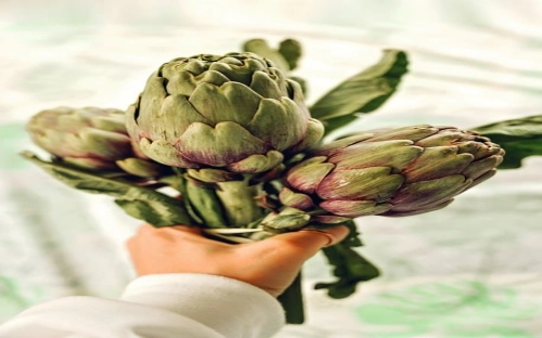 市场营销实践报告-春林公文网