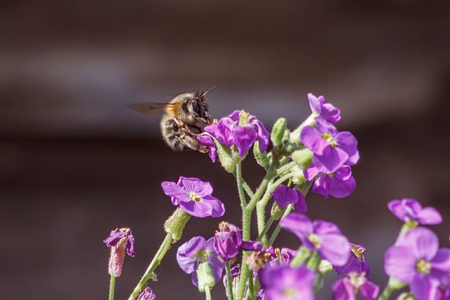 元旦晚会学生版主持稿