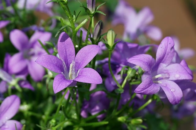 党员自我检视材料怎么写 2021党员自我检视材料范文8篇