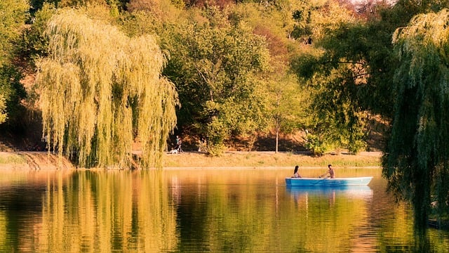 2016反腐倡廉党政工作报告范文精选推荐