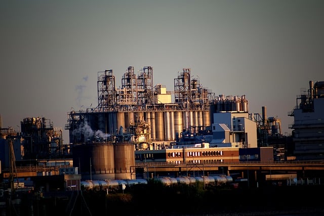 少先队活动环境教育总结