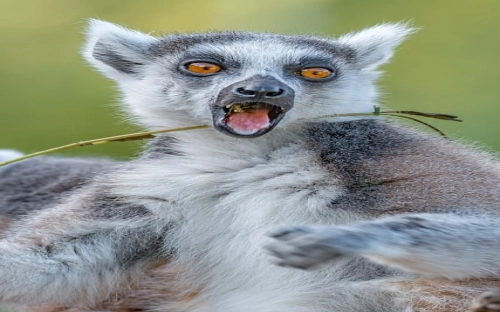 林场副场长个人整改方案-春林公文网