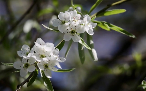 情人节浪漫攻略-春林公文网