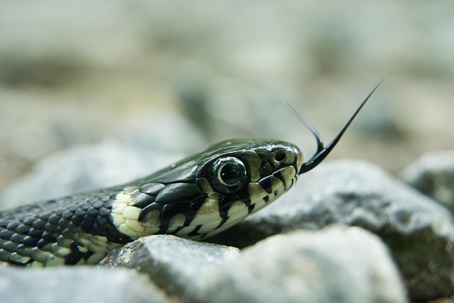 2016国庆节微信、微博祝福语大全精选