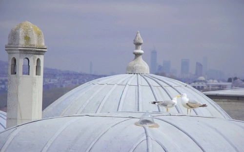 圣诞节通用中英文祝福短信-春林公文网